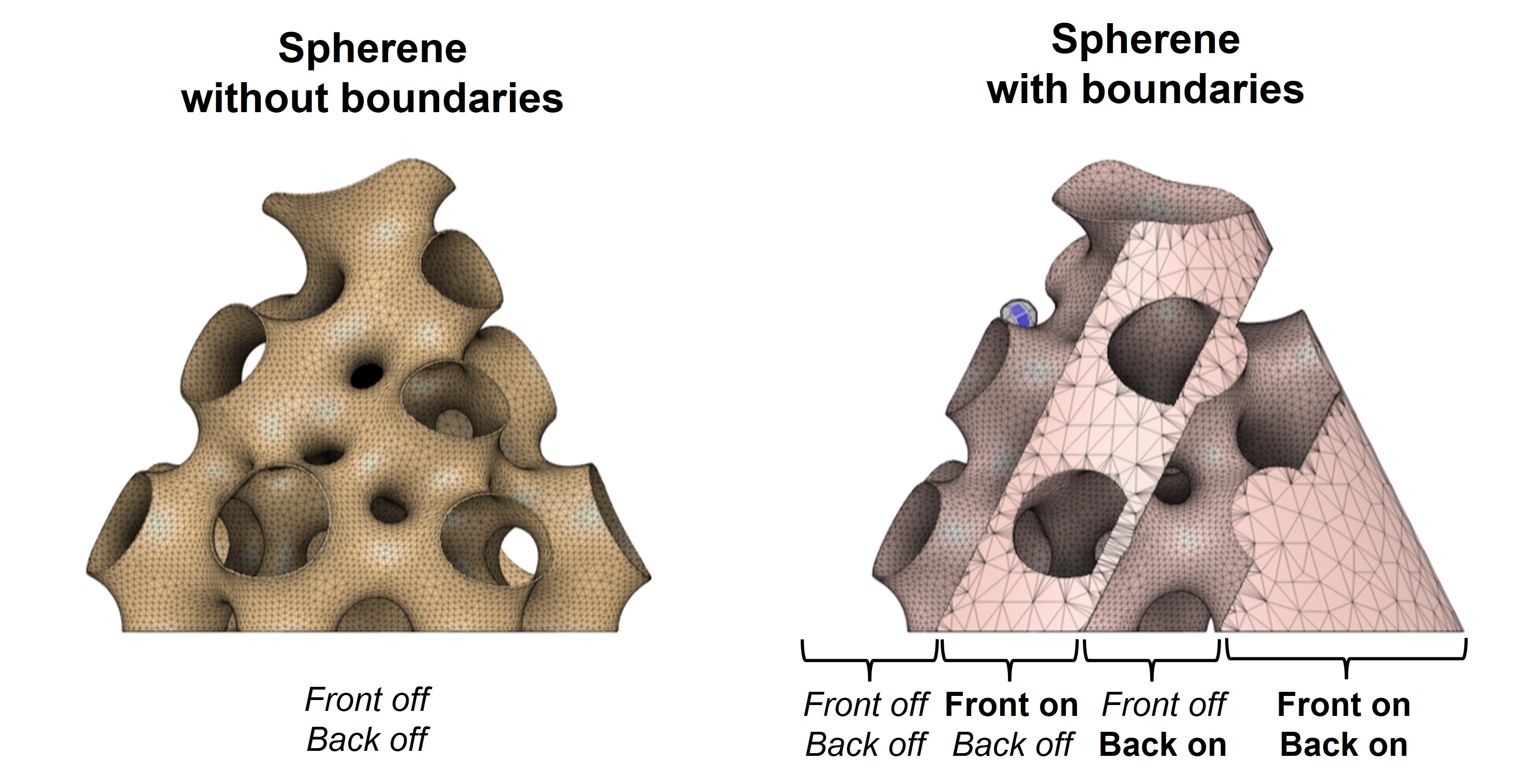Comparison between generated Spherene geometry without boundary and with boundaries